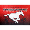 CFL Calgary Stampeders Tailgate Blanket, 62-in x 90-in.