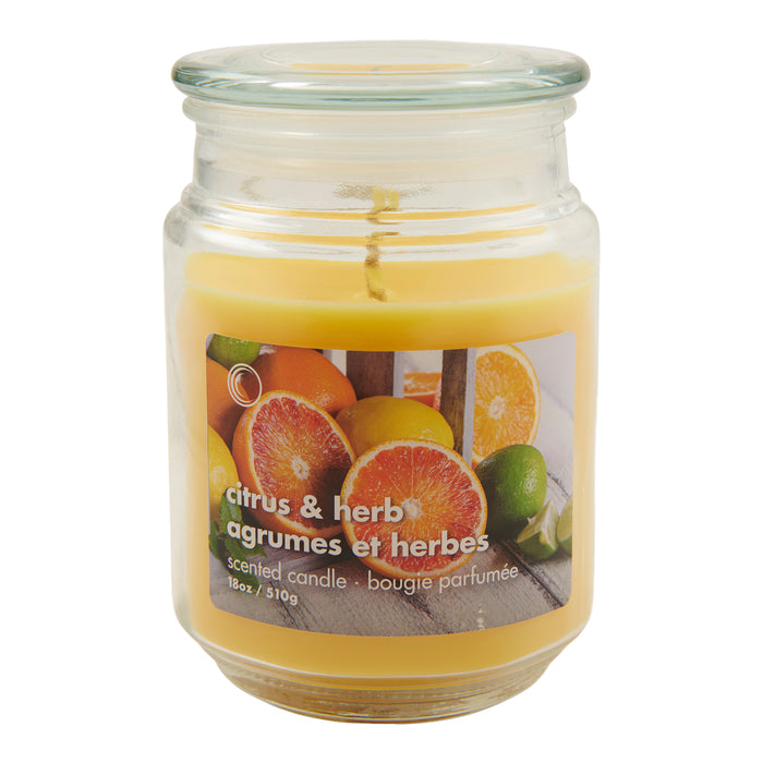 Chandelle en pot, agrume et fines herbes, 18 po