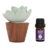 Diffuseur Ceramic Succulent avec huile