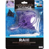 Unbelievable Science Squishy Anatomy, Ocean, Assorted