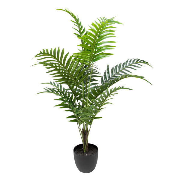 tiger palm plant Palm Tree, 36.5-in. – Giant Tiger