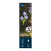 Solar Dandelion Stake Light, 3.4-in x 27-in.