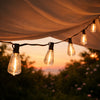 Edison String Lights, 20-ft.