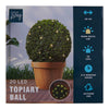 Solar Living Solar Topiary Ball, 11-in x 11-in.