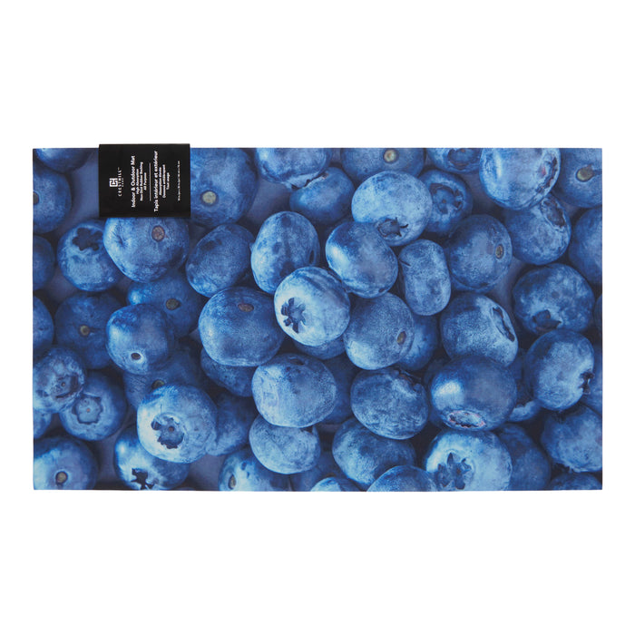 Printed Indoor/Outdoor Mat, 18-in x 30-in.