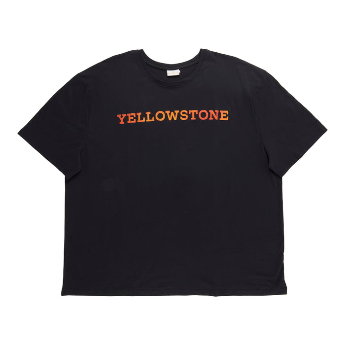 T-shirt à manches courtes sous licence taille forte pour hommes