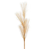 Danson Décor Pampas Grass, Assorted, 37-in.