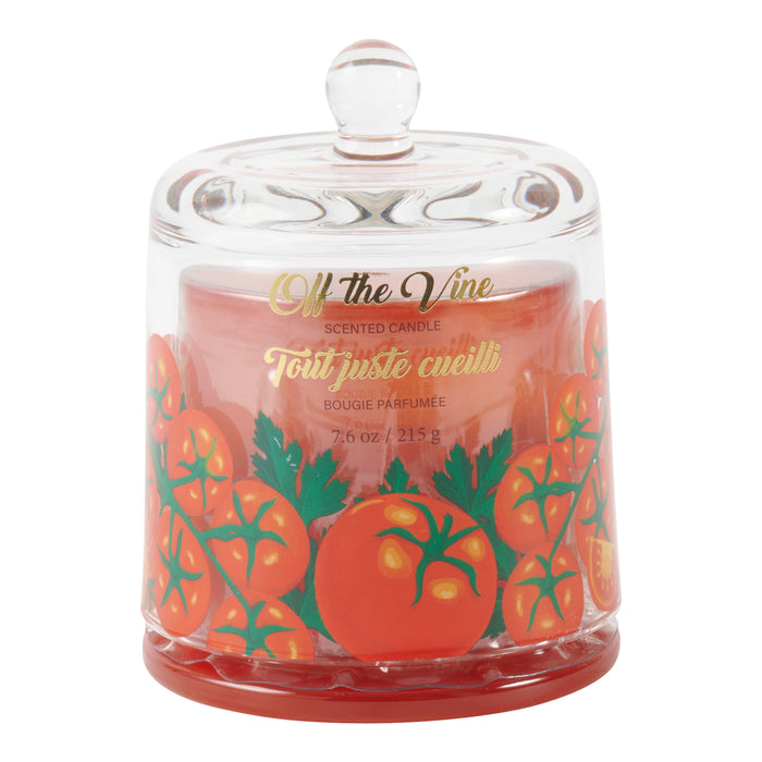 HomeStyles Cloche Jar Candle, 7.6-oz.