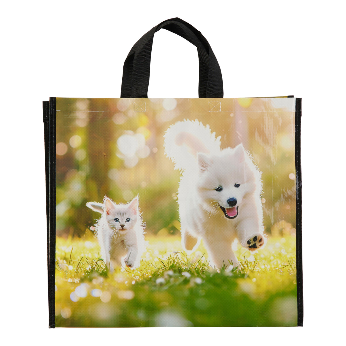 Reusable Spring Themed Tote Bag, 18-in x 16.5-in. – Giant Tiger