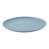 HomeStyles Polypropylene Dinner Plate, 10-in.