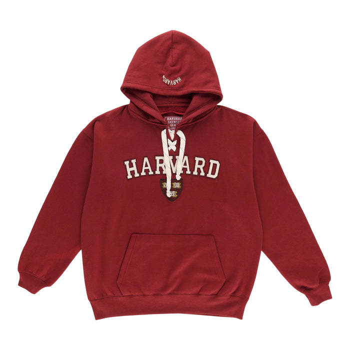 Men's Varsity Hoodie, Assorted