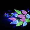 Danson Décor 40 LED C6 String Lights, Jewel, 8.6-ft.