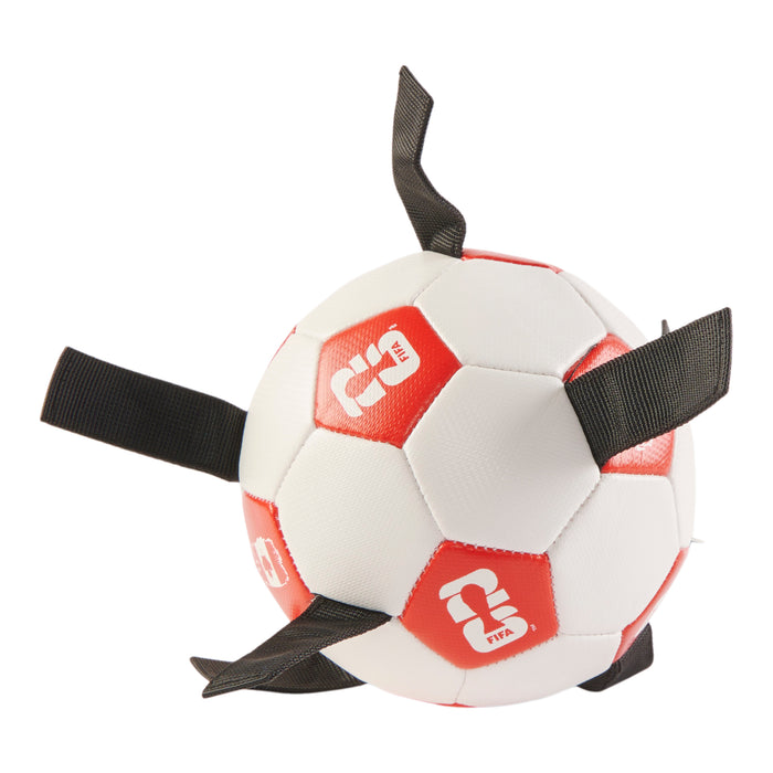 Pet Soccer Ball
