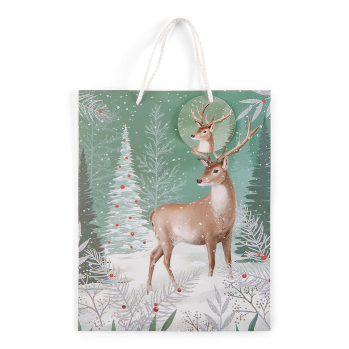 Sac-cadeau grand format HomeStyles, 10 po x 5 po x 13 po