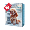 Holiday Large Pet Gift Bag, 10.4-in x 5.4-in x 12.8-in.