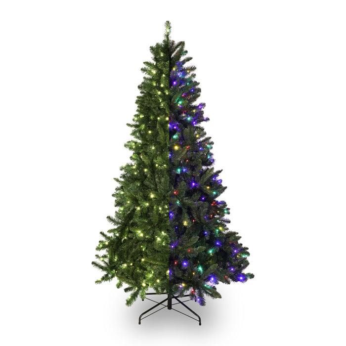 Christmas Tree, Dual-Colour, 6.5-ft.