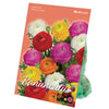 Bulbes de fleurs d'automne