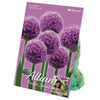 Bulbes d'alliums