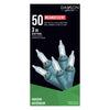 Danson Décor 50 Incandescent String Lights, Clear