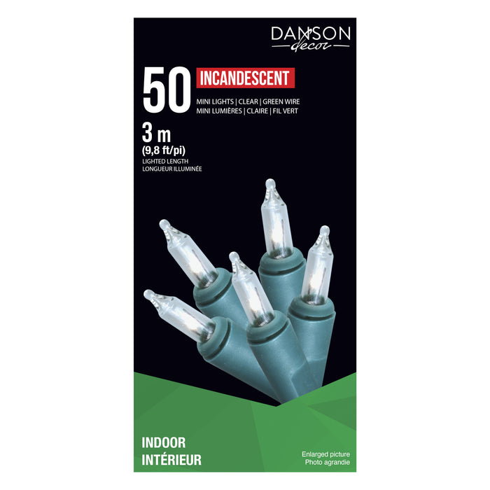Danson Décor 50 Incandescent String Lights, Clear
