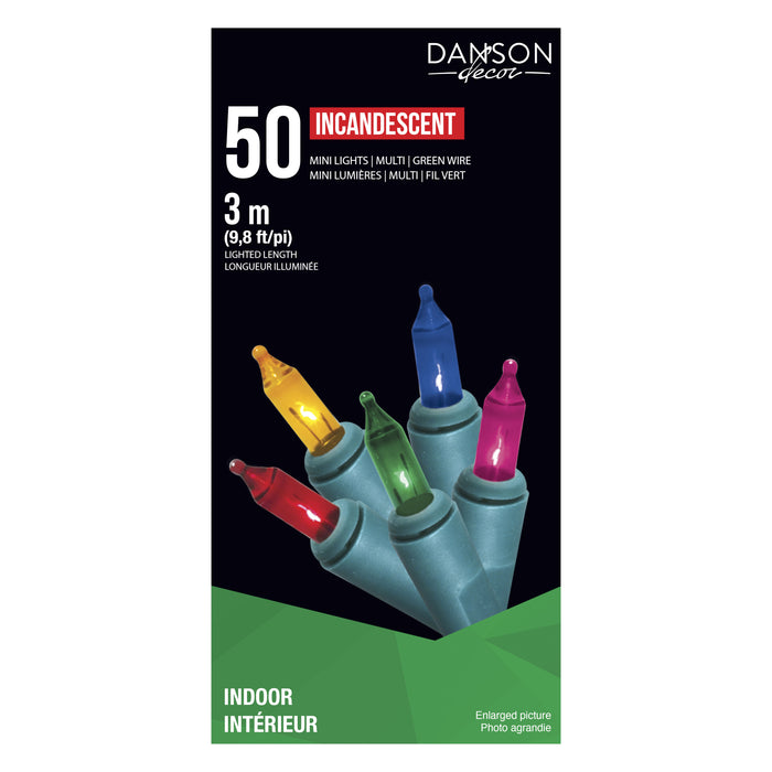 Danson Décor 50 Incandescent String Lights, Multicolour
