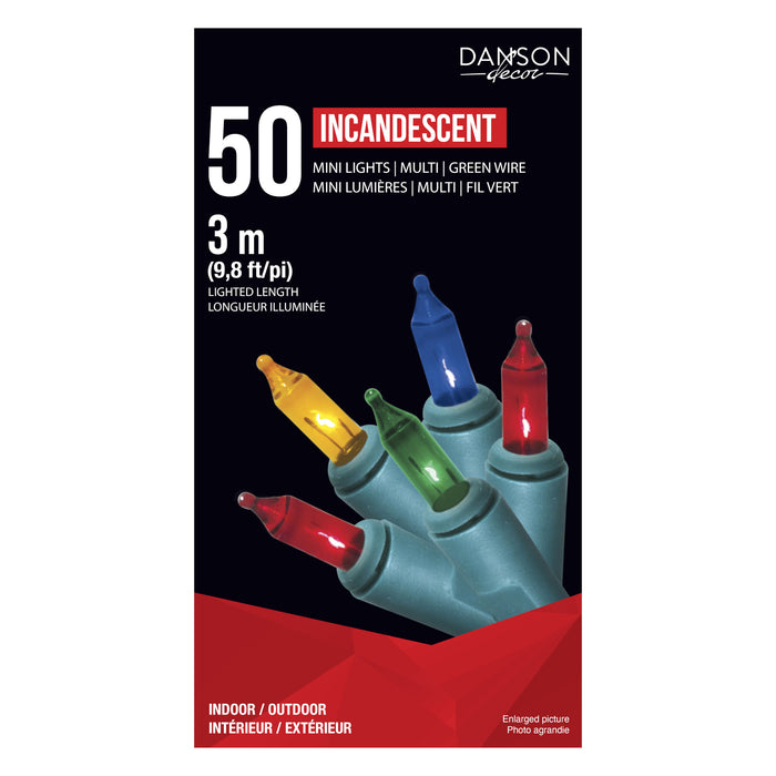 Danson Décor 50 Indoor/Outdoor Incandescent String Lights, Multicolour