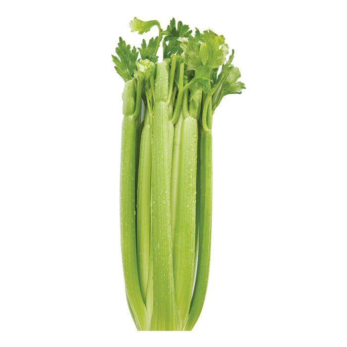 Celery