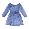 Toddler Girls' Glitter Velour Dress