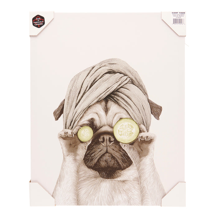 Décoration murale à thématique animalière pour salle de bain, anglais – 16 x 20 po