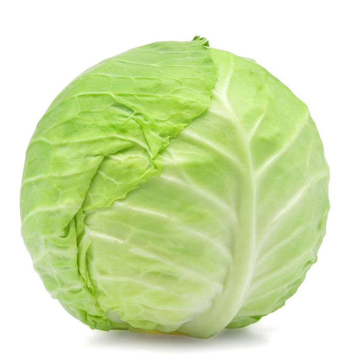 Green Cabbage, Single