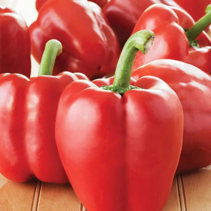 Red Peppers, 4-Pack