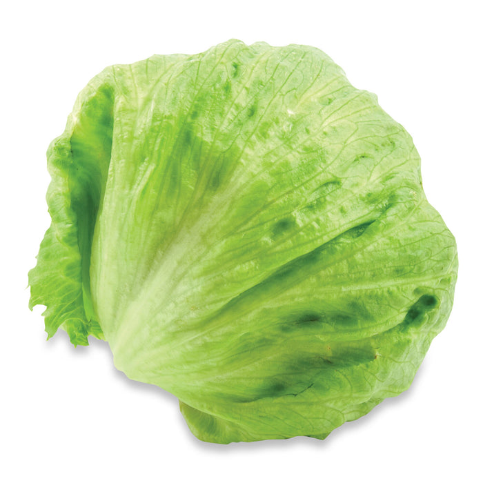 Iceberg Lettuce - Single
