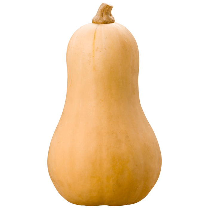 Courge musquée
