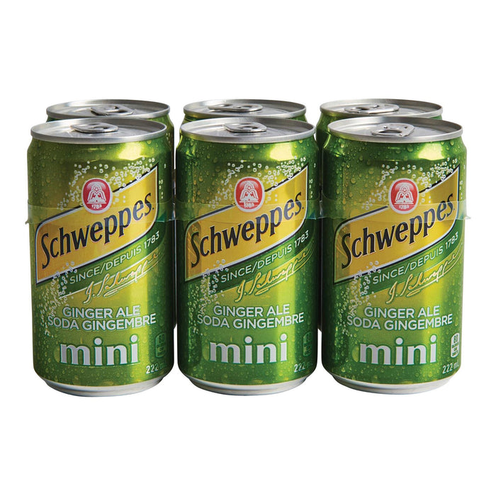 Minicanettes de soda gingembre Schweppes, emb. de 6 - 222 ml