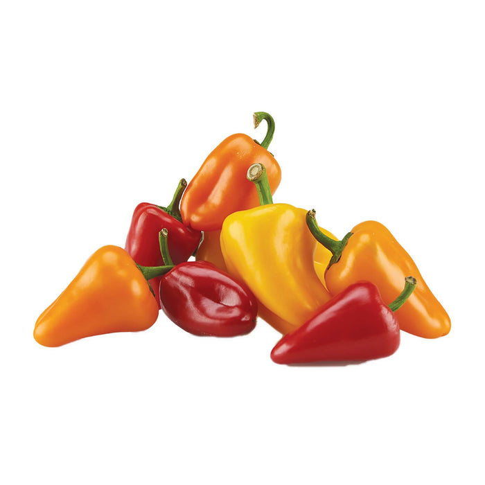 Mucci Farms Super Sweet Mini Peppers, 454 g