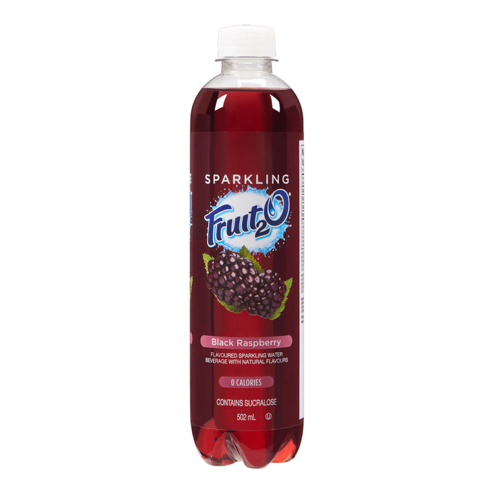 Fruit₂O Flavoured Sparkling Water Beverage Black Raspberry, 502 ml