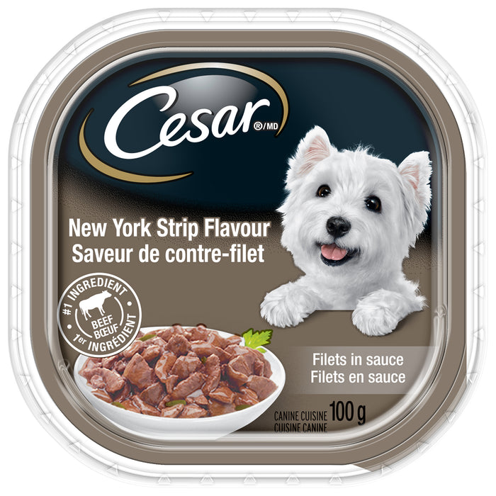 CESAR Filets in Sauce Wet Dog Food, New York Strip, 100 g