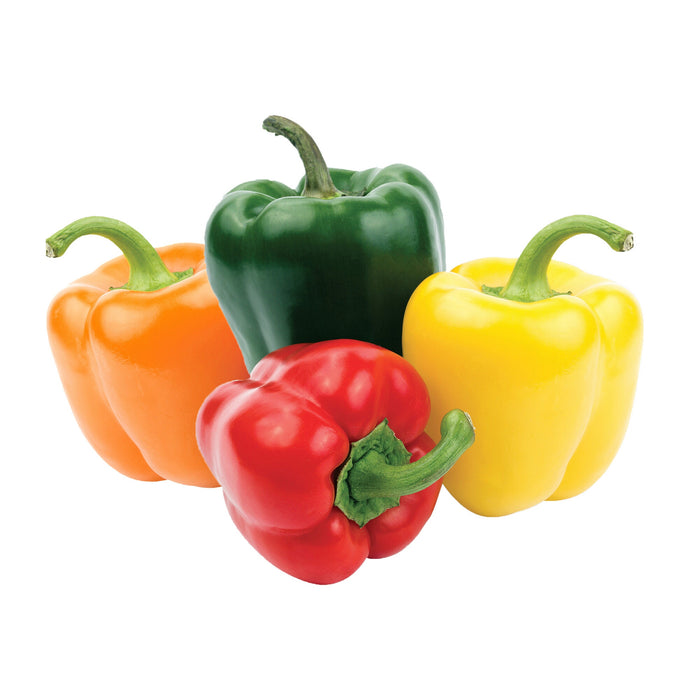 Poivrons de couleur, emb. de 4