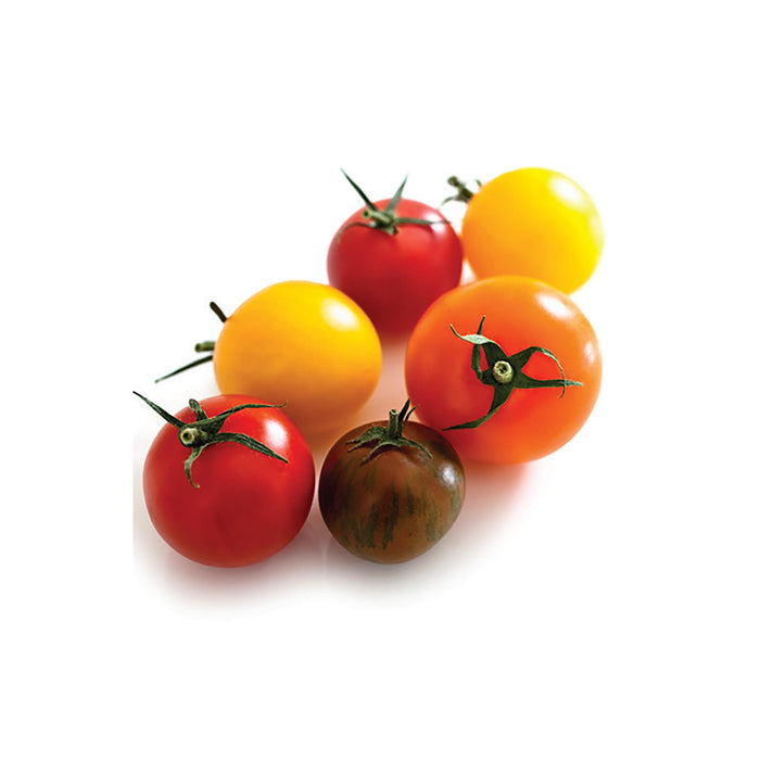 Mélange de tomates raisins