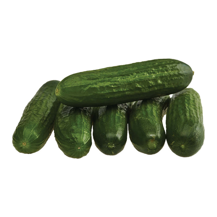 Mini Cucumbers, 6-Pack