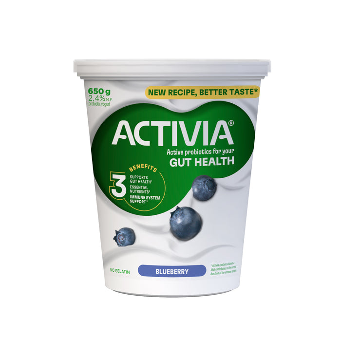 Activia Probiotic Blueberry Yogurt 2.4% M.F., 650 g
