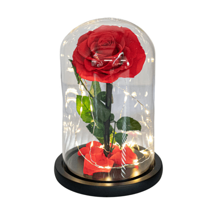 Forever Rose In Dome with LED Lights