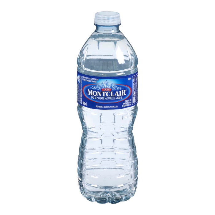 Aberfoyle Spring Water, 500ml