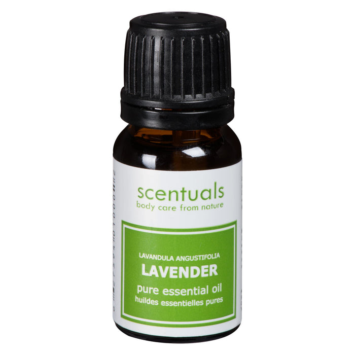 Scentuals Lavender Essential Oil - 10 ml