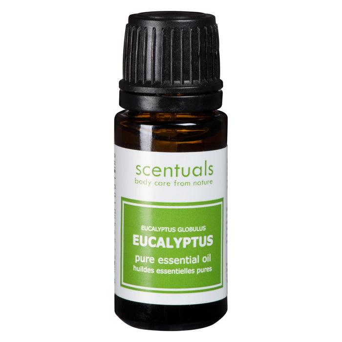 Scentuals Eucalyptus Essential Oil - 10 ml