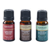 Scentuals Holiday Essential Oil Set, 3-Piece