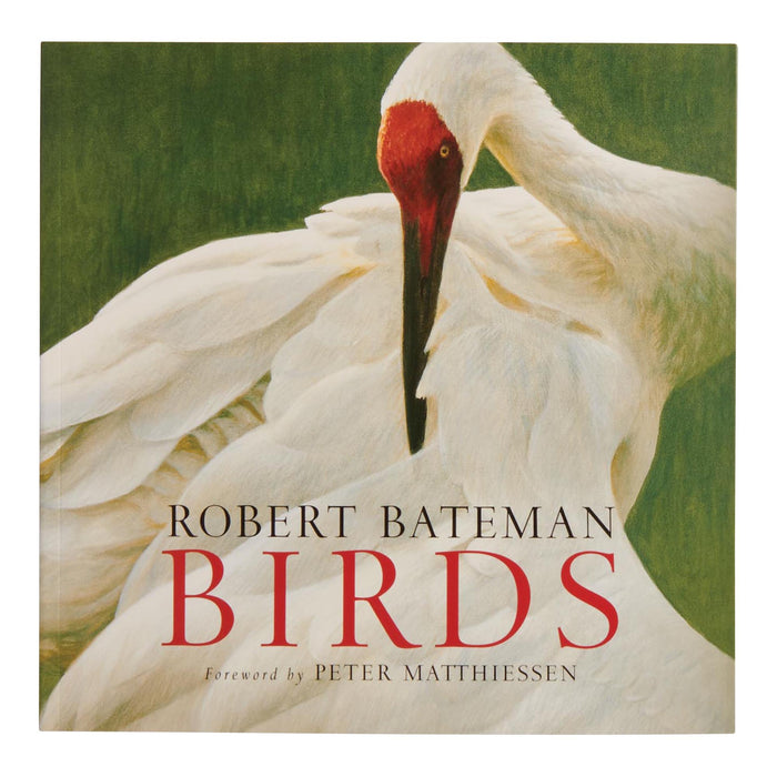 Assorted Bargain Book