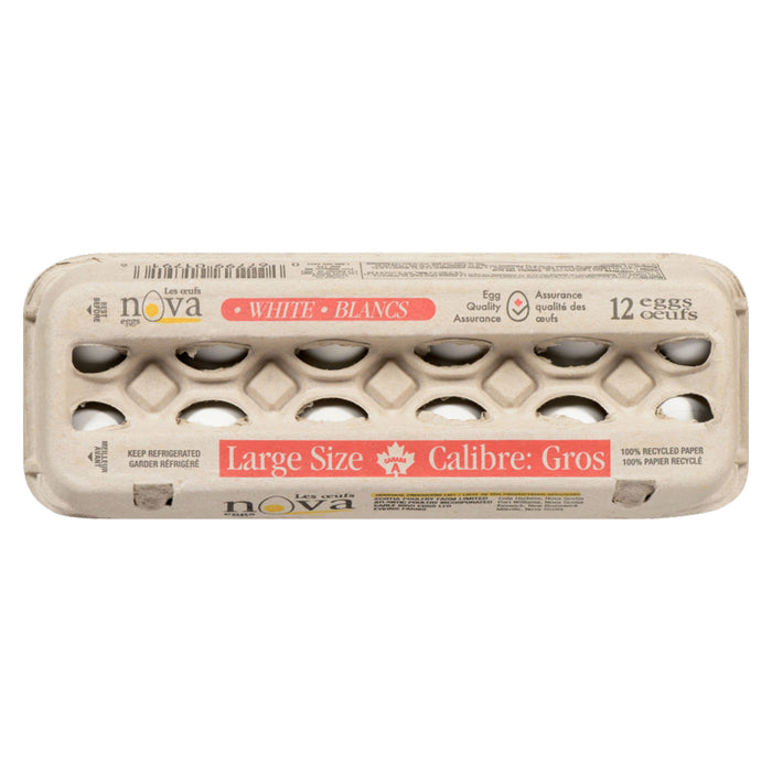 Maritime Pride Large White Eggs, 12-Pack