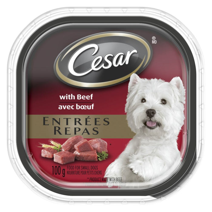 CESAR Classic Loaf in Sauce Wet Dog Food, Beef, 24-Pack, 100 g