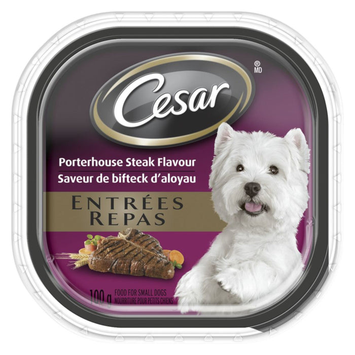 Nourriture humide pour chiens adultes CESAR pain classique en sauce saveur de bifteck d'aloyau, barquette de 100 g